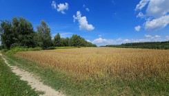 Działka rolna Karczmiska Drugie