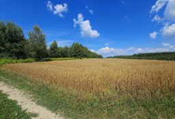 Działka rolna Karczmiska Drugie