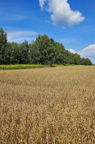 Karczmiska Drugie - ponad 33ar działki rolnej-2