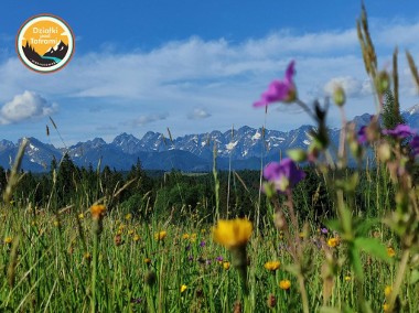 Działka pod zabudowę z widokiem na Tatry - Rzepiska-1