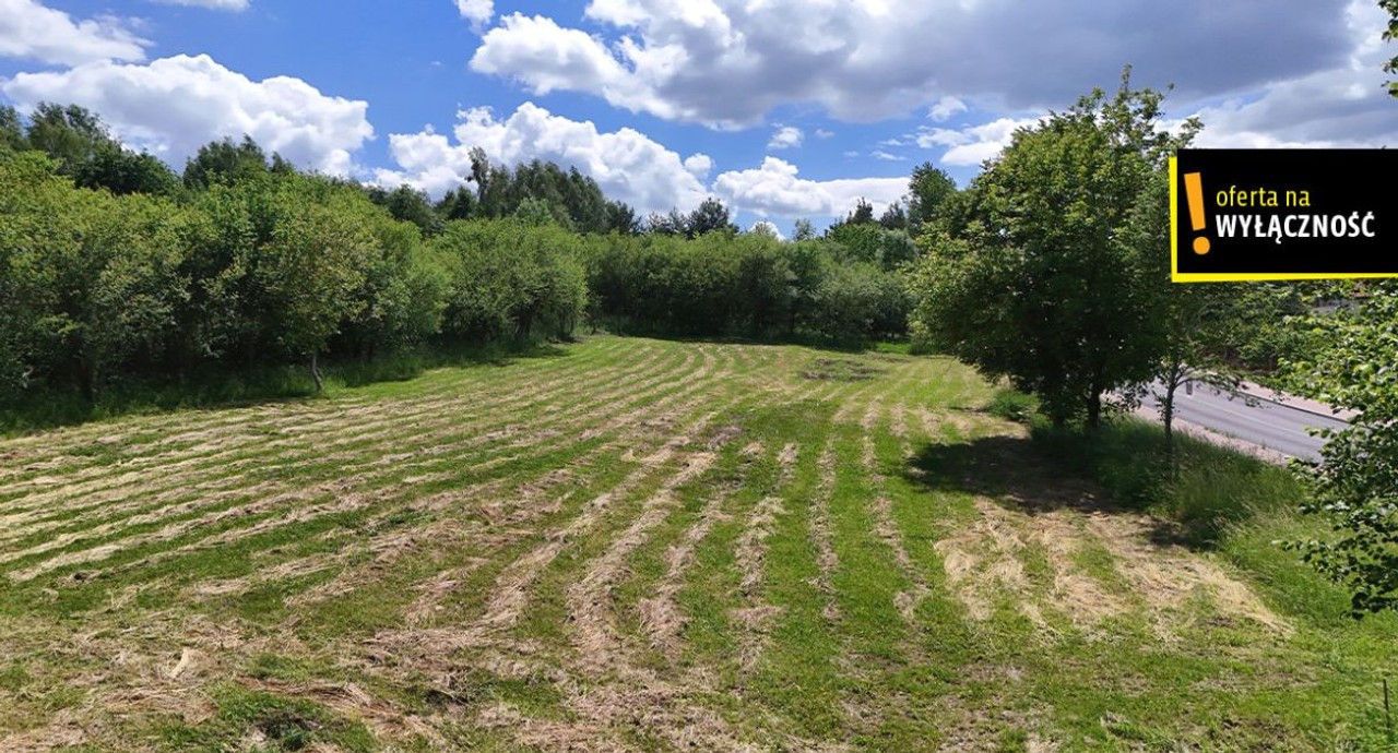 Działka budowlana z WZ- Staszów ul. Opatowska - Widok 3