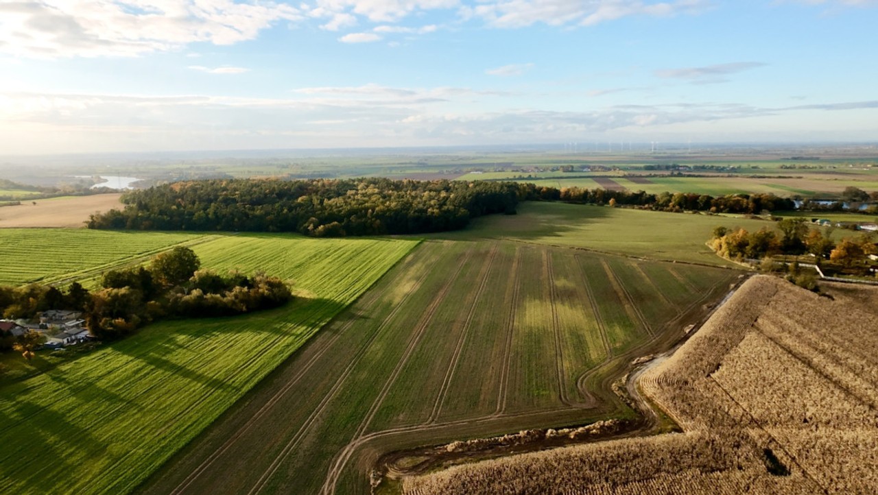 Działki W Malborku - Widok 5