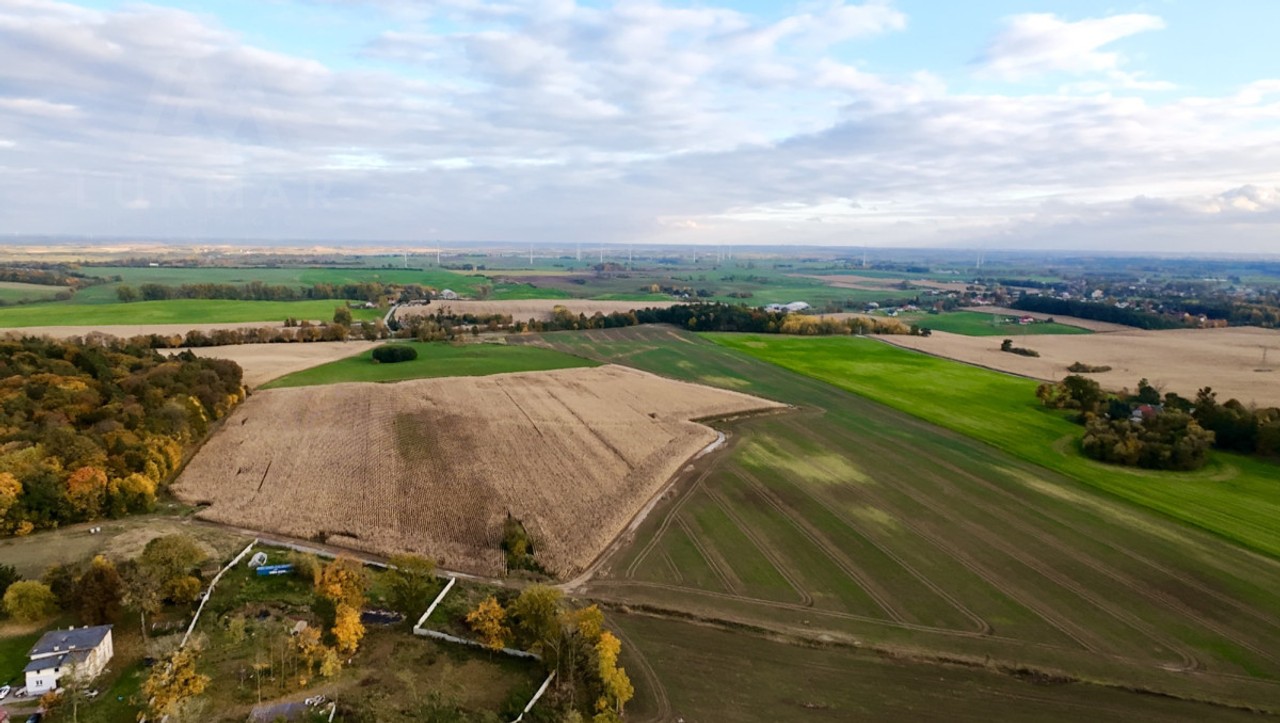 Działki W Malborku - Widok 6