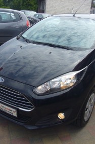 Fiesta-2