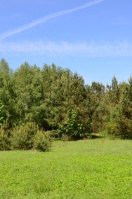 Działka siedliskowa Marcinkowo-2