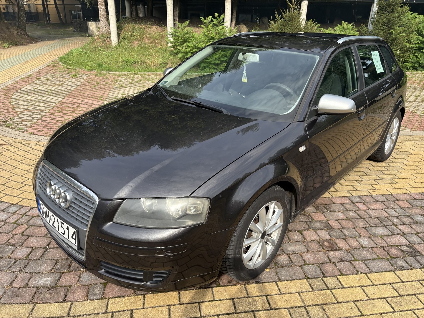Audi A3 II (8P) 1.9 TDI 5-drzwi