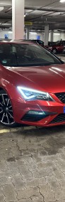 Cupra ST 300 - 1 właściciel ACC/DCC/PANO/LED-3