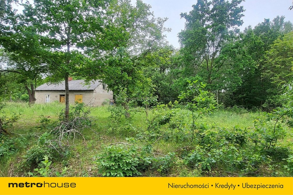 Działka na sprzedaż, 1281 m², Żabia Wola Oddział – pohled 4