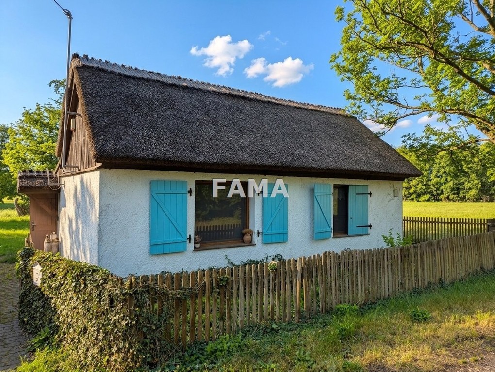 Dom, 1,68 ha, własny staw, blisko jeziora, asfalt