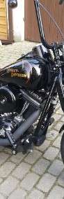 Harley-Davidson FLSTSB CROSS BONES Chopper-House-4