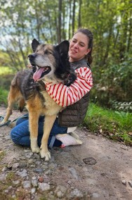 Przytul się do miśka Nanuka - dostojny senior czeka na prawdziwy dom-2