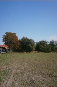 Działka rolna Trzcianka Rychlik, Biernatowo-2