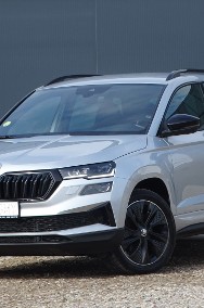 Skoda Karoq-2