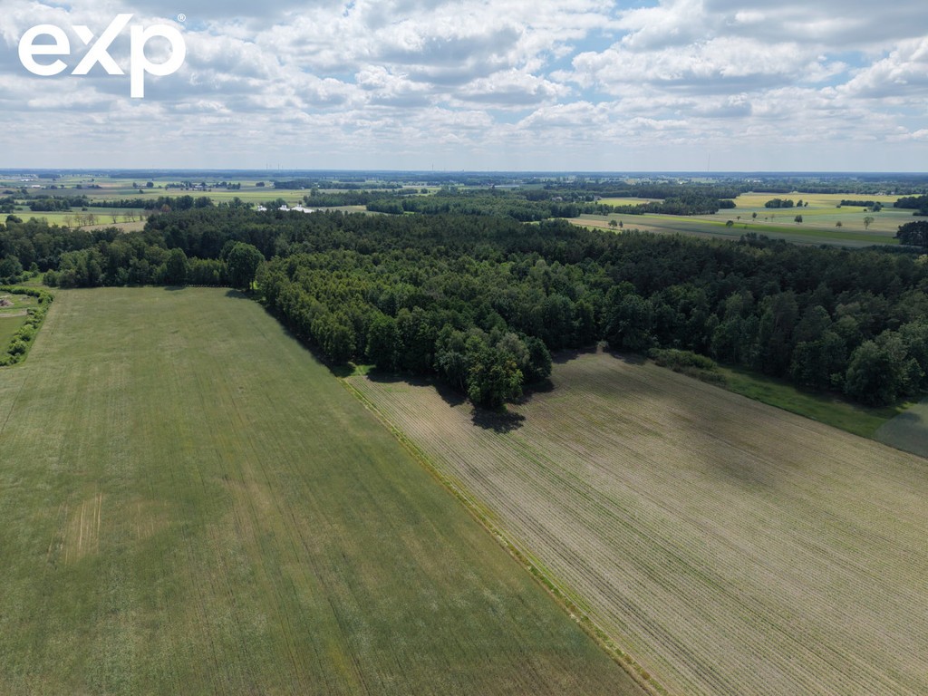 DZIAŁKA BUDOWLANA 3374 m² | MPZP + WZ | ASFALT - Widok 6