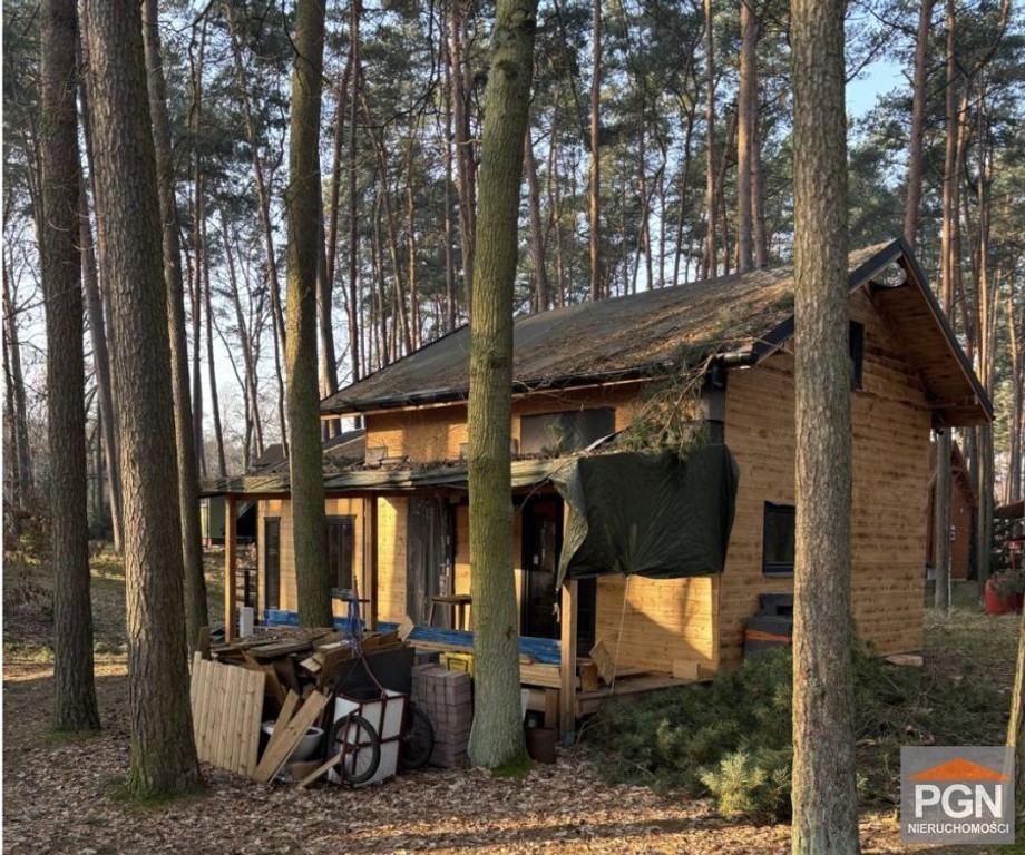 Domek letniskowy w lesie nad jeziorem Wełtyń