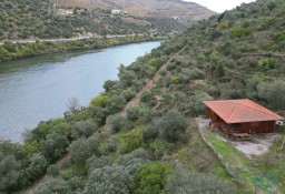 Dom Quinta Da Teixeira Velha