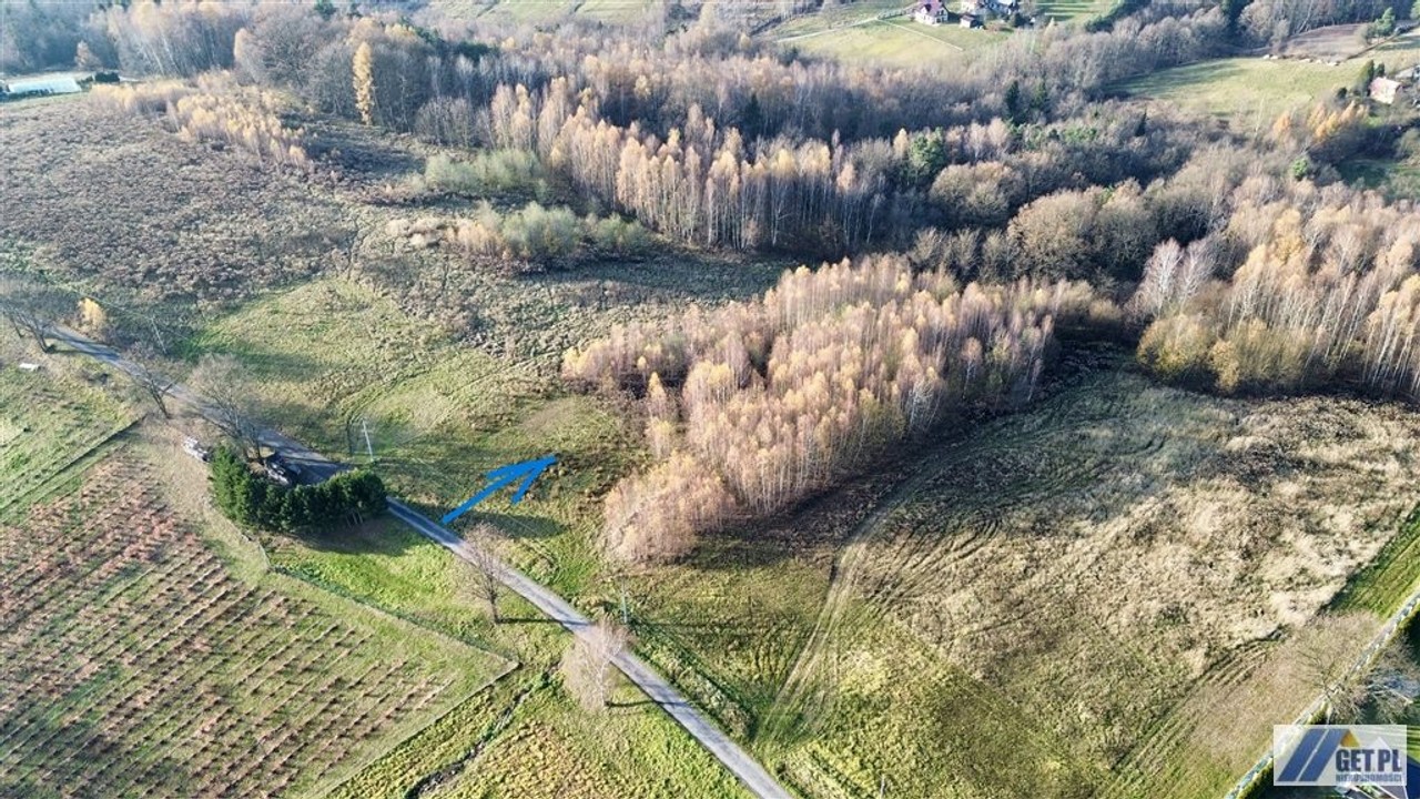 Widokowa działka z lasem pod Krakowem - Ansicht 6