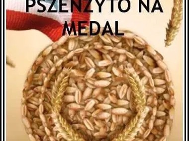 Pszenżyto MEDALION Odmiana Bezostna Na Każdą Glebę - Nasiona Pszenżyta-1