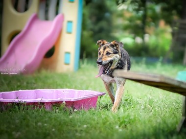 Hejże - ja nie mam jeszcze domku - adoptujesz? - Sara-1