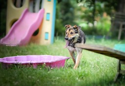 Hejże - ja nie mam jeszcze domku - adoptujesz? - Sara