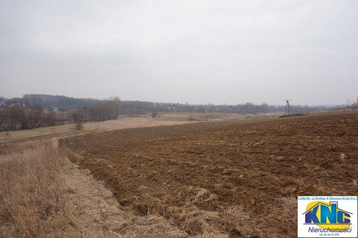 Działka Pliszczyn,media, działka budowl usług 65ar - Widok 3