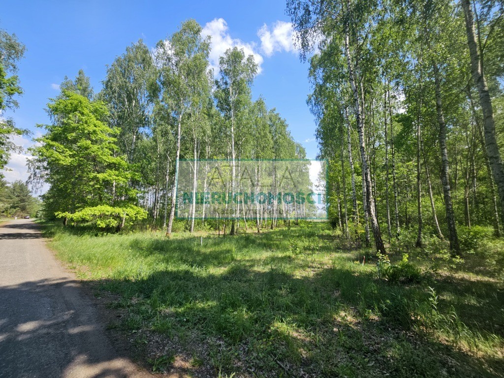 Działka 1200 m², 2.5 km do stacji PKP, MPZP, grodziski