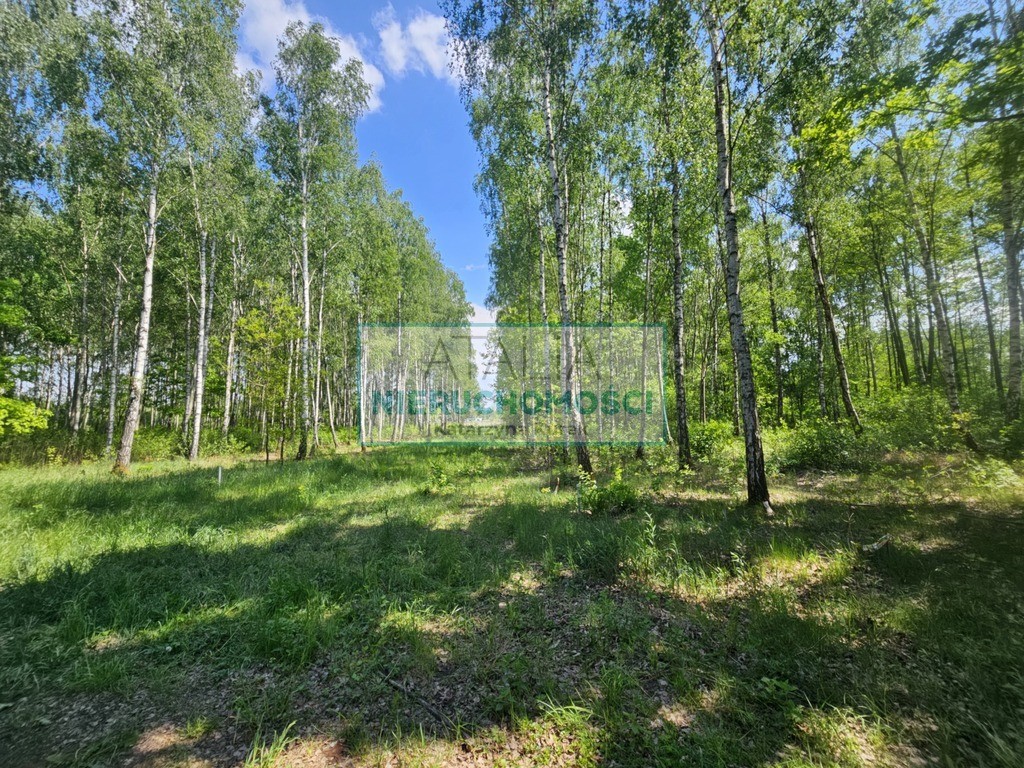 Działka 1200 m², 2.5 km do stacji PKP, MPZP - Widok 2