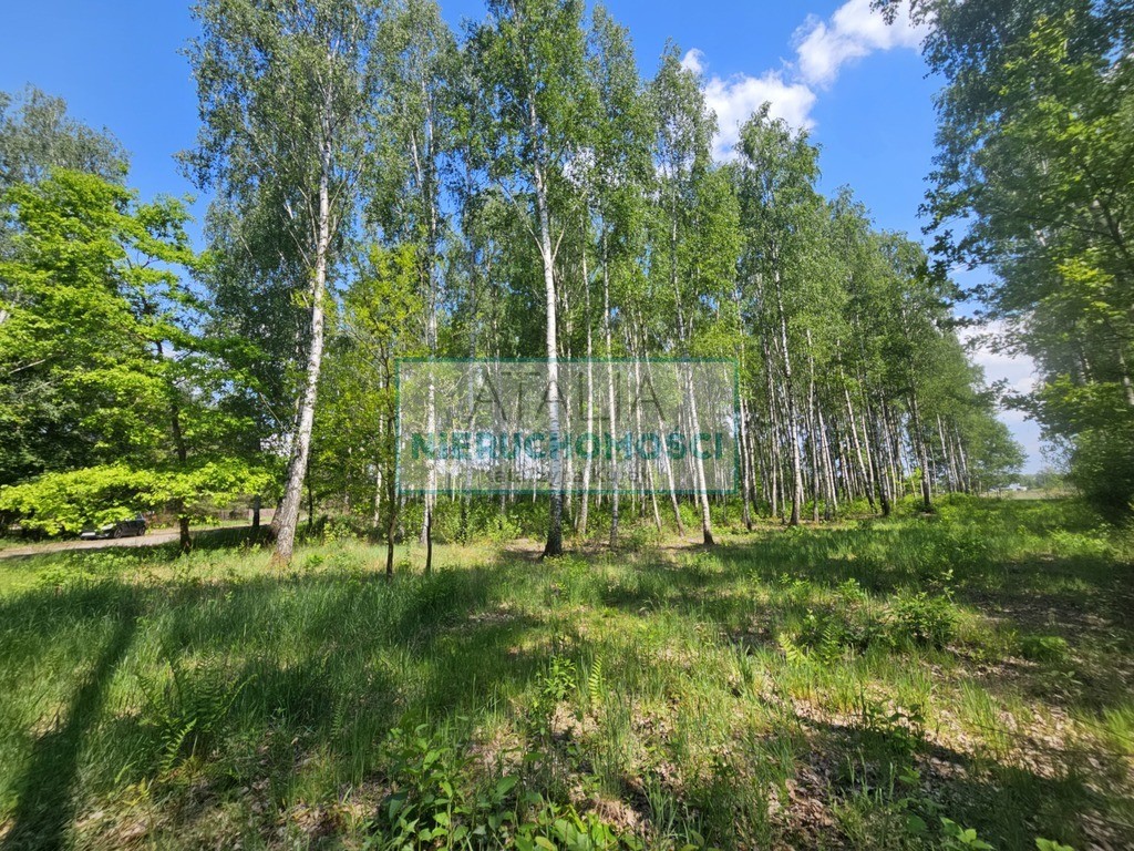 Działka 1200 m², 2.5 km do stacji PKP, MPZP - Widok 3