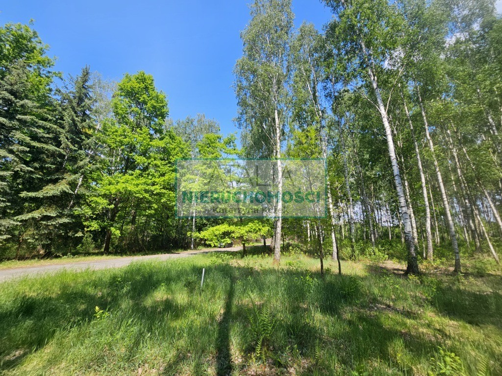 Działka 1200 m², 2.5 km do stacji PKP, MPZP - Widok 4