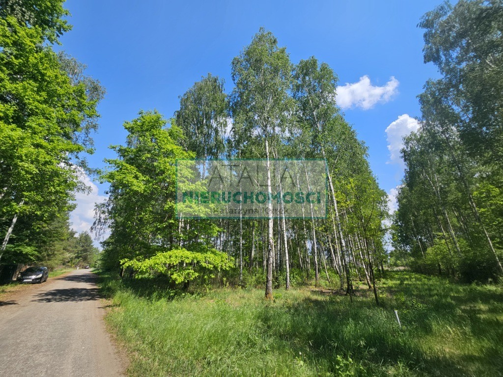 Działka 1200 m², 2.5 km do stacji PKP, MPZP - Widok 5