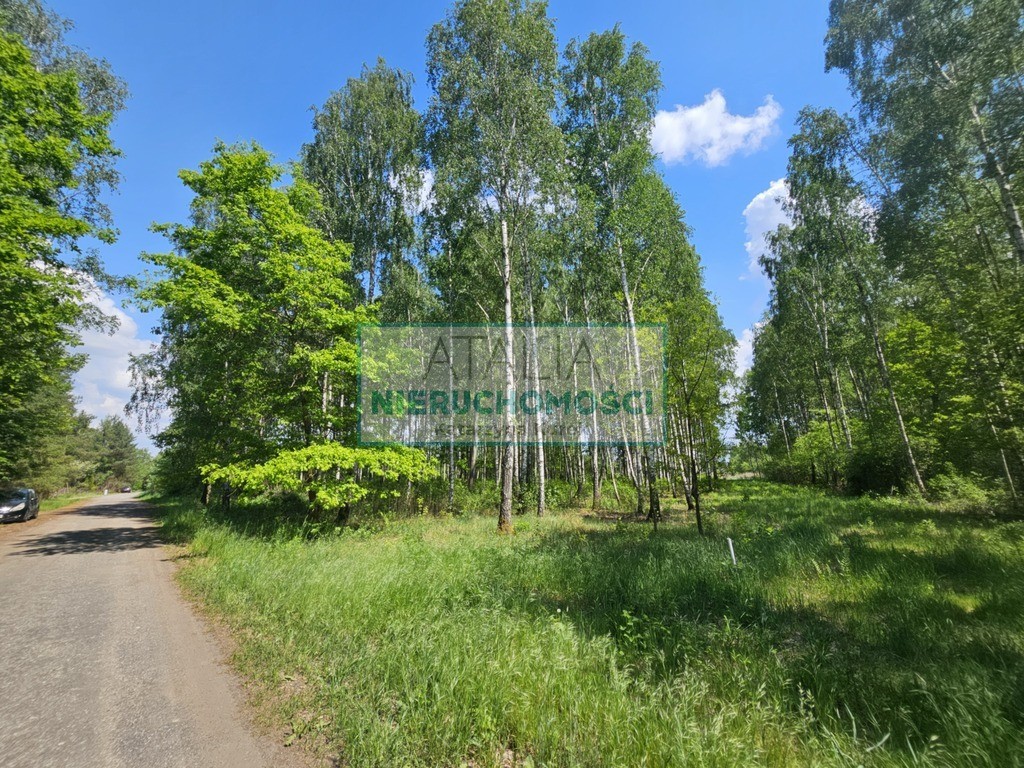 Działka 1200 m², 2.5 km do stacji PKP, MPZP - Widok 6