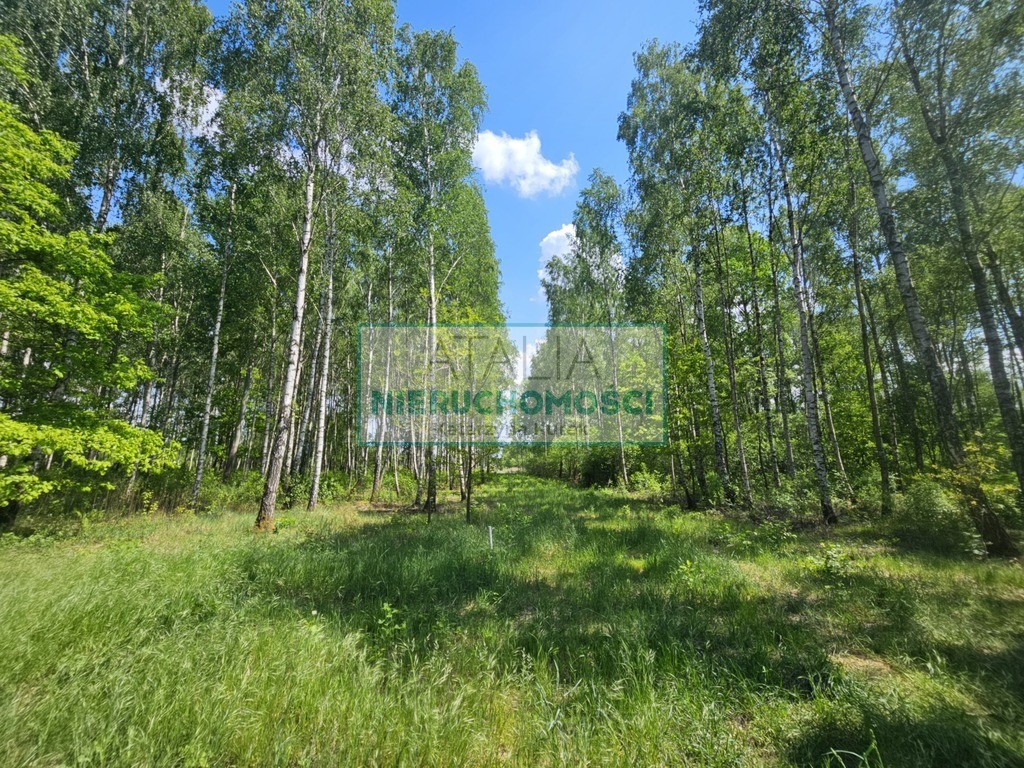 Działka 1200 m², 2.5 km do stacji PKP, MPZP - Więcej