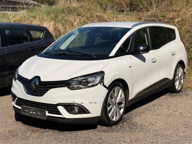  1.7 Blue dCi Limited 2019-1