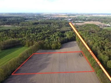 Wilcza|2,2090 ha|Usługowe/Mieszkalne/Produkcja-1