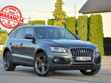Audi Q5 I (8R) 3.0TDI(245KM)*S-Line*Xenon*Led*Navi*Panorama*Bang&Olufsen*Alu20"ASO-1