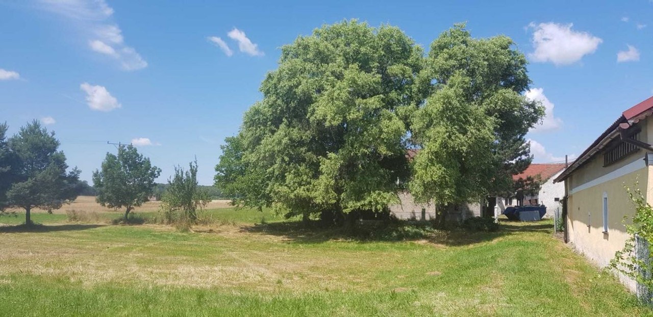 Działki rolno-budowlane/agroturystyka/gospodarstwo, Działki rolno-budowlane/agroturystyka/gospodarstwośląskie