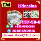  Manufacturer Supply Raw Material CAS 137-58-6 Lidocaine