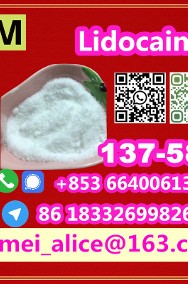  Manufacturer Supply Raw Material CAS 137-58-6 Lidocaine-2