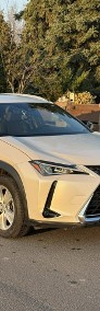 Lexus UX 250h Executive-3
