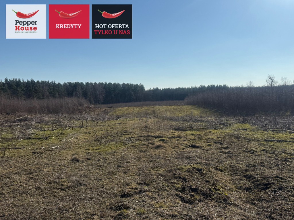 Atrakcyjna działka w Chwaszczynie - 1093 m² - Widok 4