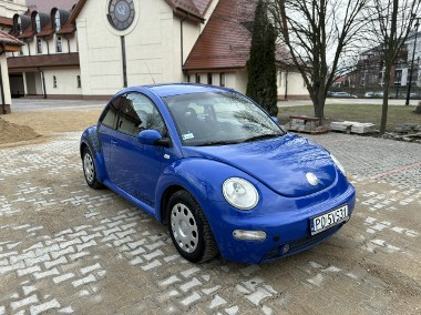 Volkswagen New Beetle-1