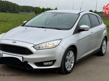 Ford Focus III-1
