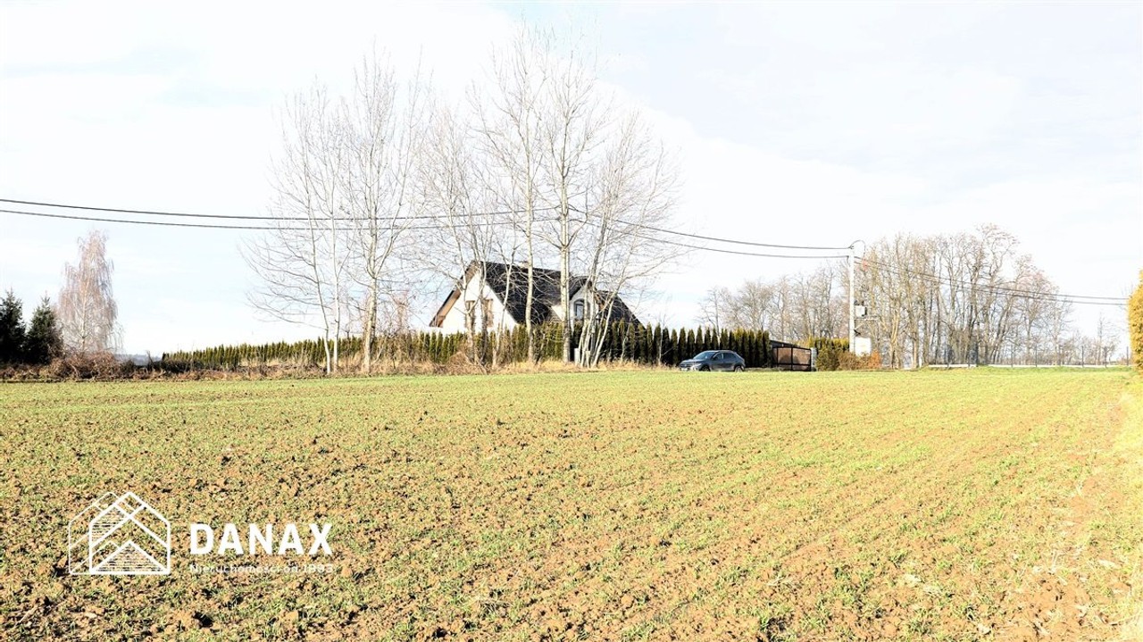 działka budowlana 70arów w Młodziejowicach - Widok 2