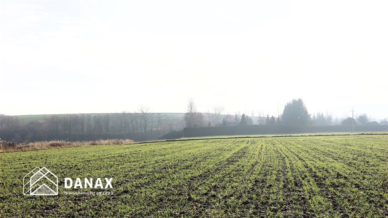 działka budowlana 70arów w Młodziejowicach - Widok 4