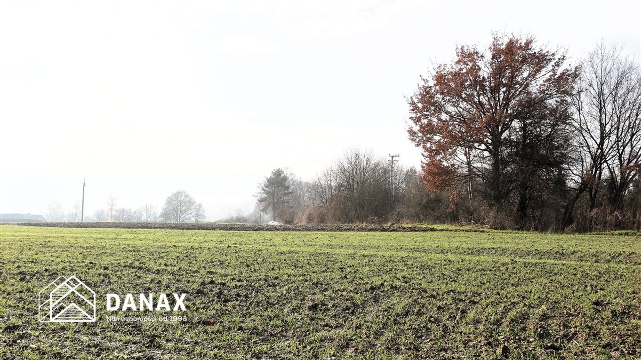 działka budowlana 70arów w Młodziejowicach - Widok 6