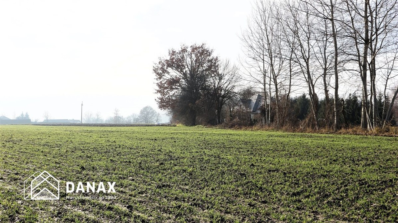 działka budowlana 70arów w Młodziejowicach - Więcej