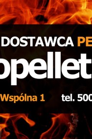 Pellet Olimp 6 mm Propellet24 Opole ul. Wspólna 1-3