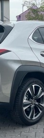 Lexus UX 300h Business 2.0 Hybrid Dynamic Force UX 300h Business 2.0 Hybrid Dynamic-3