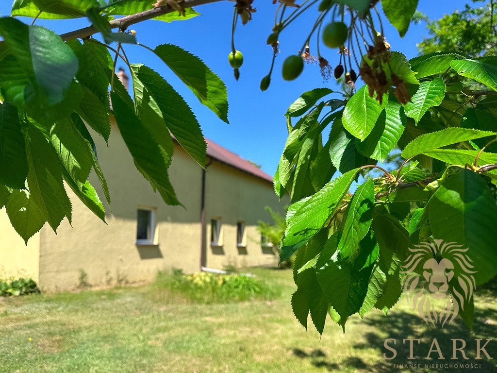 Dom 204 m² I działka 3200 m² I Borkowo Wielkie - Widok 2