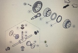CLAAS 77 1113 230 0/Claas Celtis-mechanizm róźnicowy/Celtis 456 Axos 340-310 Ergos 466-436